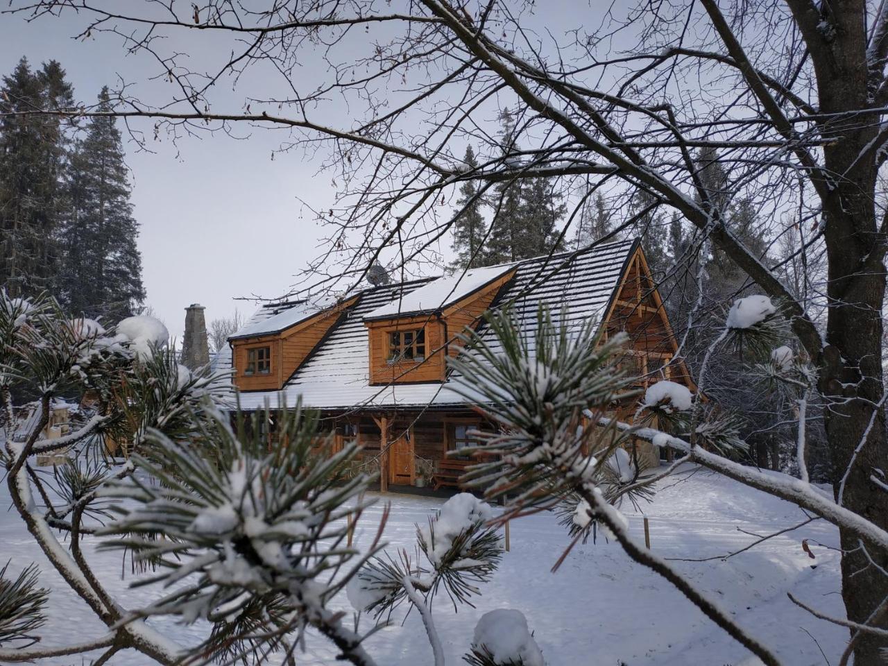 Chata Baba Yaga Ždiar Dış mekan fotoğraf